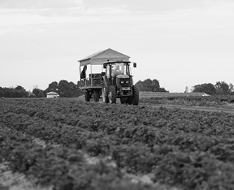 Defesa em agronegócio + LCP advogados